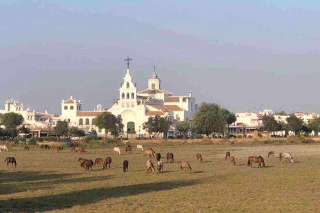 شقة Casa Luz Del Rocio Refugio Con Alma A 8 Minutos De La Ermita المظهر الخارجي الصورة